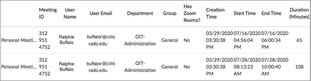 zoom meeting participant