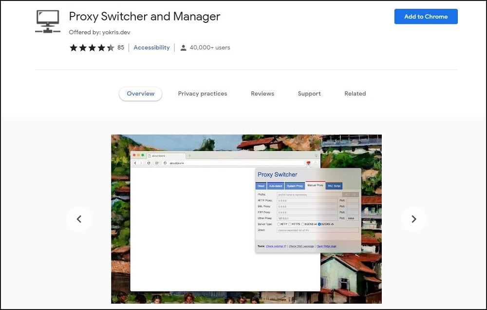 Proxy Switcher and Manager