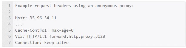 Anonymous proxies